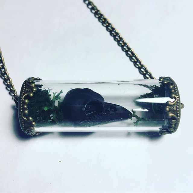 PrettyTaxidermy's tweet photo. Pretty little miniature crow skull apothecary pendants available now 🖤 #homesteading #prepping #smallholding #microholding #growyourown #selfsufficiency #selfsufficient #selfsufficientliving #backyardquail #quail #chickensofinstagram #chickens #backyardchickens #eatwellfeelwell https://t.co/myPV3zFPk2