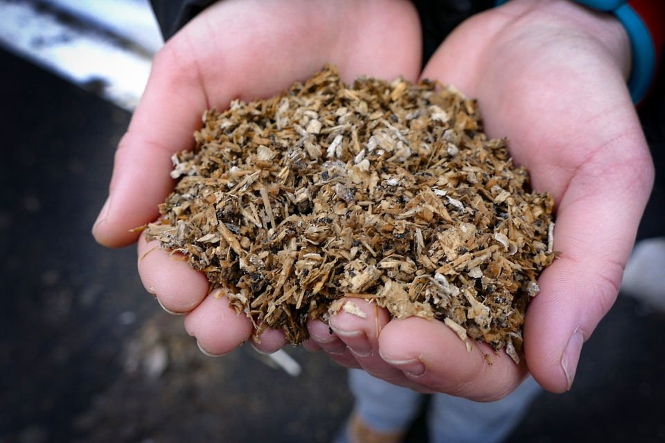 Princeton University shows off their 'Biodigester,' which turns food scraps into compost in 5 days nj-ne.ws/1VbUbVR