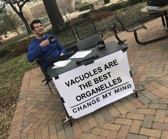 SwoleVacuole's tweet photo. #BackInVac #RHSOrganelleWars https://t.co/01AIeEpicE
