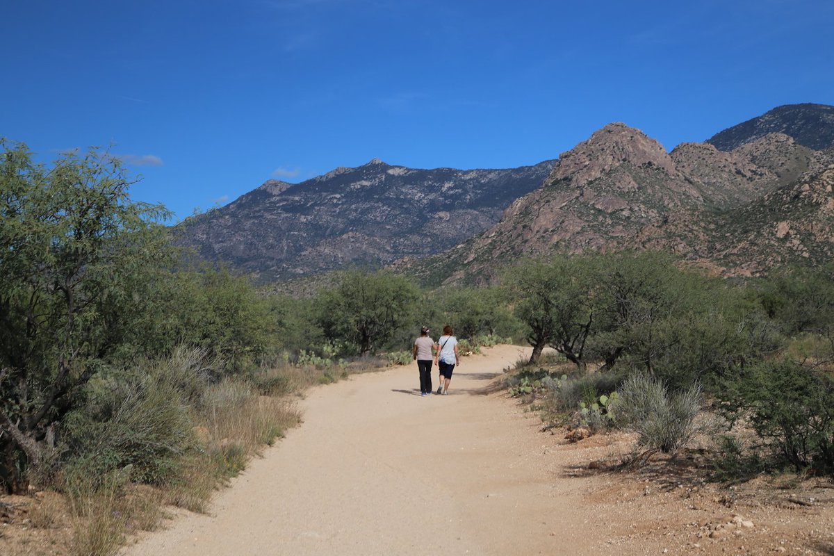 AZStateParks's tweet photo. Heads up: all AZ residents get FREE admission to Arizona State Parks all weekend over the Martin Luther King, Jr. holiday! More info: https://t.co/LnbAHCUGFV https://t.co/fMf7YfOxmP