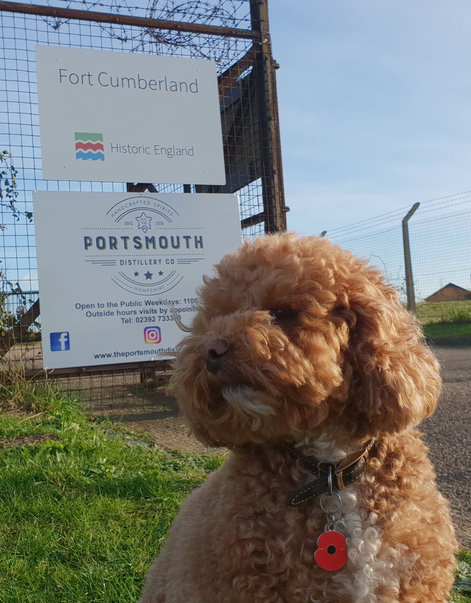 DogDistillery's tweet photo. Well I am pretty!
No seriously, come and say hello and perhaps buy a bottle! #Pompey #ginuary #Rum https://t.co/E2P2wqTFIX