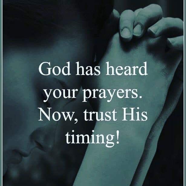 UWA_Softball's tweet image. #RubyStrong #PrayforRuby