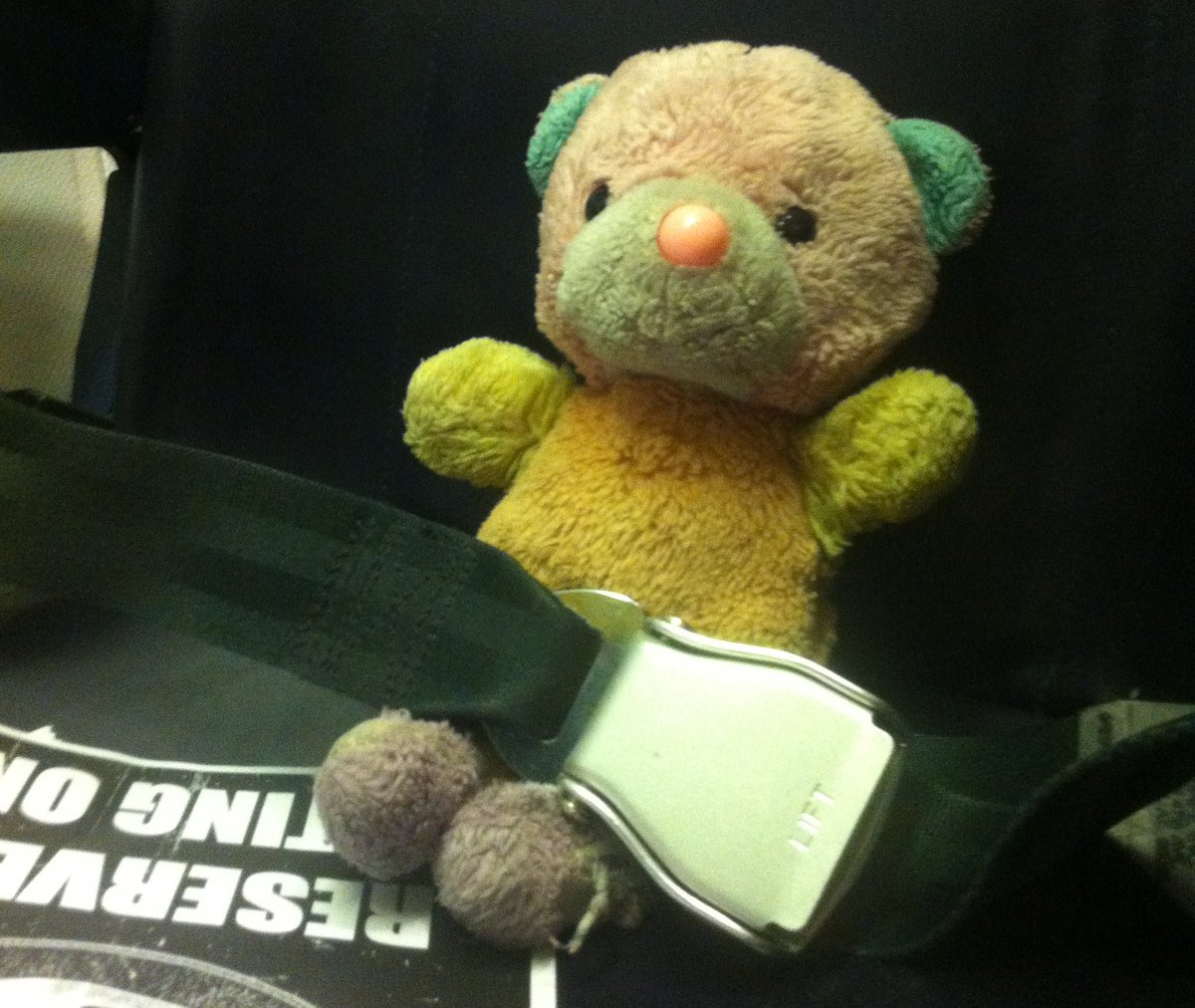 Phonografik's tweet photo. Help! My wife sadly lost a teddy that's she has had since she was a baby. This is the longest of longshots but does anybody know anybody who could find me a replacement?! Originally from C&amp;A back in the late 80's... Here's some pics of Fred on previous adventures  #findfredbear https://t.co/PWZ5Og1bey