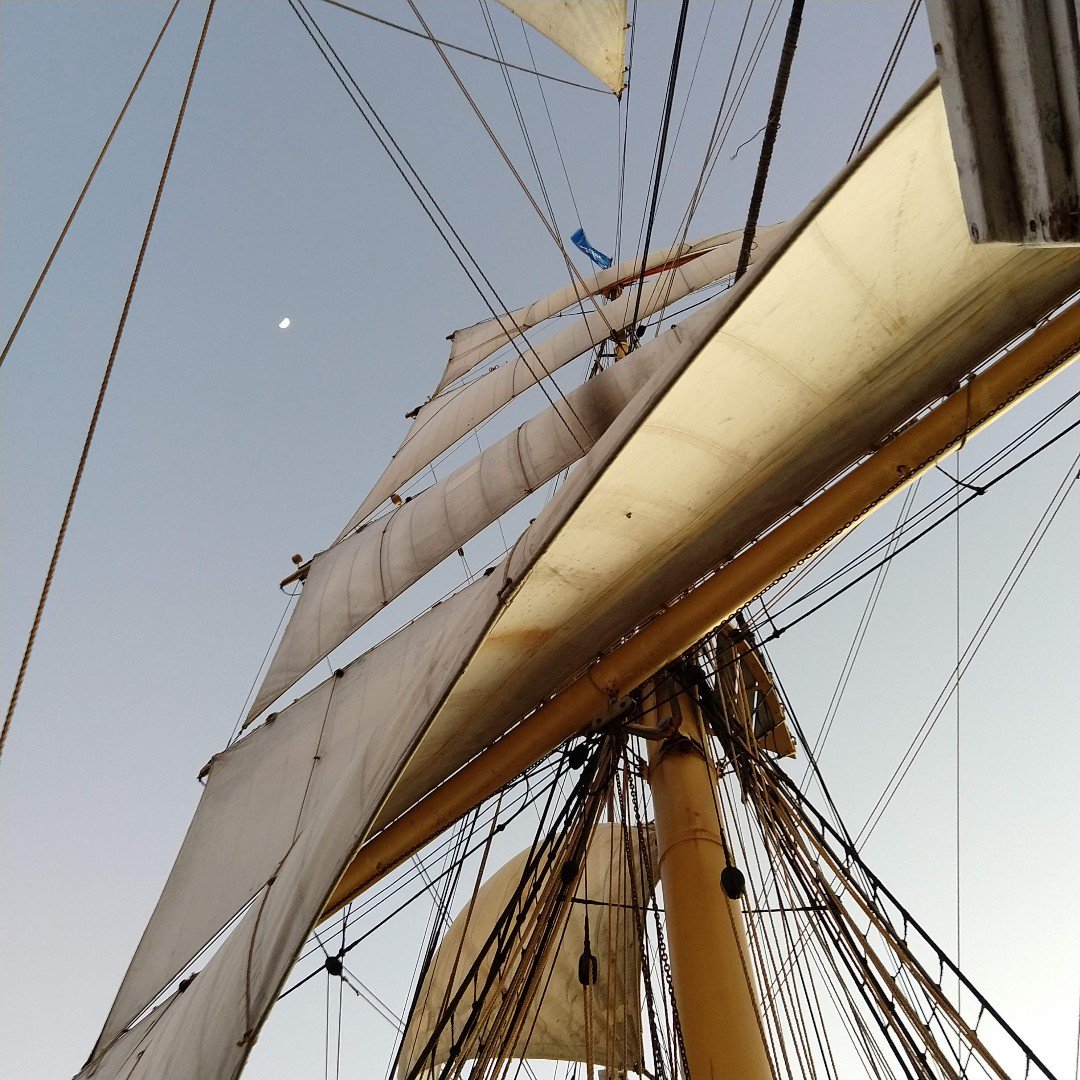 picton_castle's tweet photo. Look waaaaay up & I'll call Rusty. β₯ #pictoncastle #worldvoyage7 #wv7 #thefriendlygiant https://t.co/ORmHntFa2H