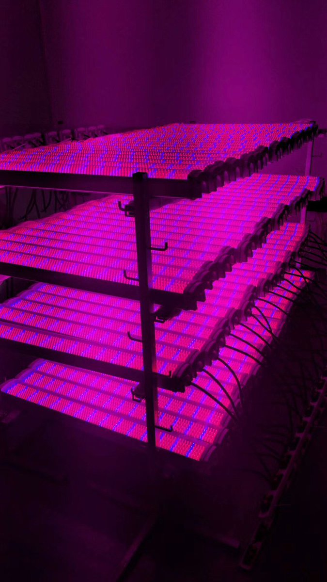 NTELEDLIGHT's tweet photo. Full Spectrum Led Grow Lights for Indoor Plant, Led Plant Lights, energy saving 40%. 
Contact us for more details.
https://t.co/01Pb84ss14
info@newtangenergy.com https://t.co/CuIz36lpRX