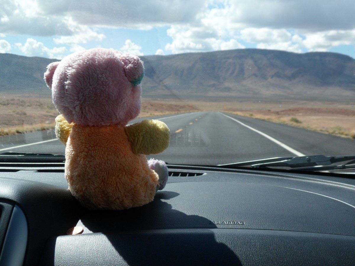 Phonografik's tweet photo. Help! My wife sadly lost a teddy that's she has had since she was a baby. This is the longest of longshots but does anybody know anybody who could find me a replacement?! Originally from C&amp;A back in the late 80's... Here's some pics of Fred on previous adventures  #findfredbear https://t.co/PWZ5Og1bey