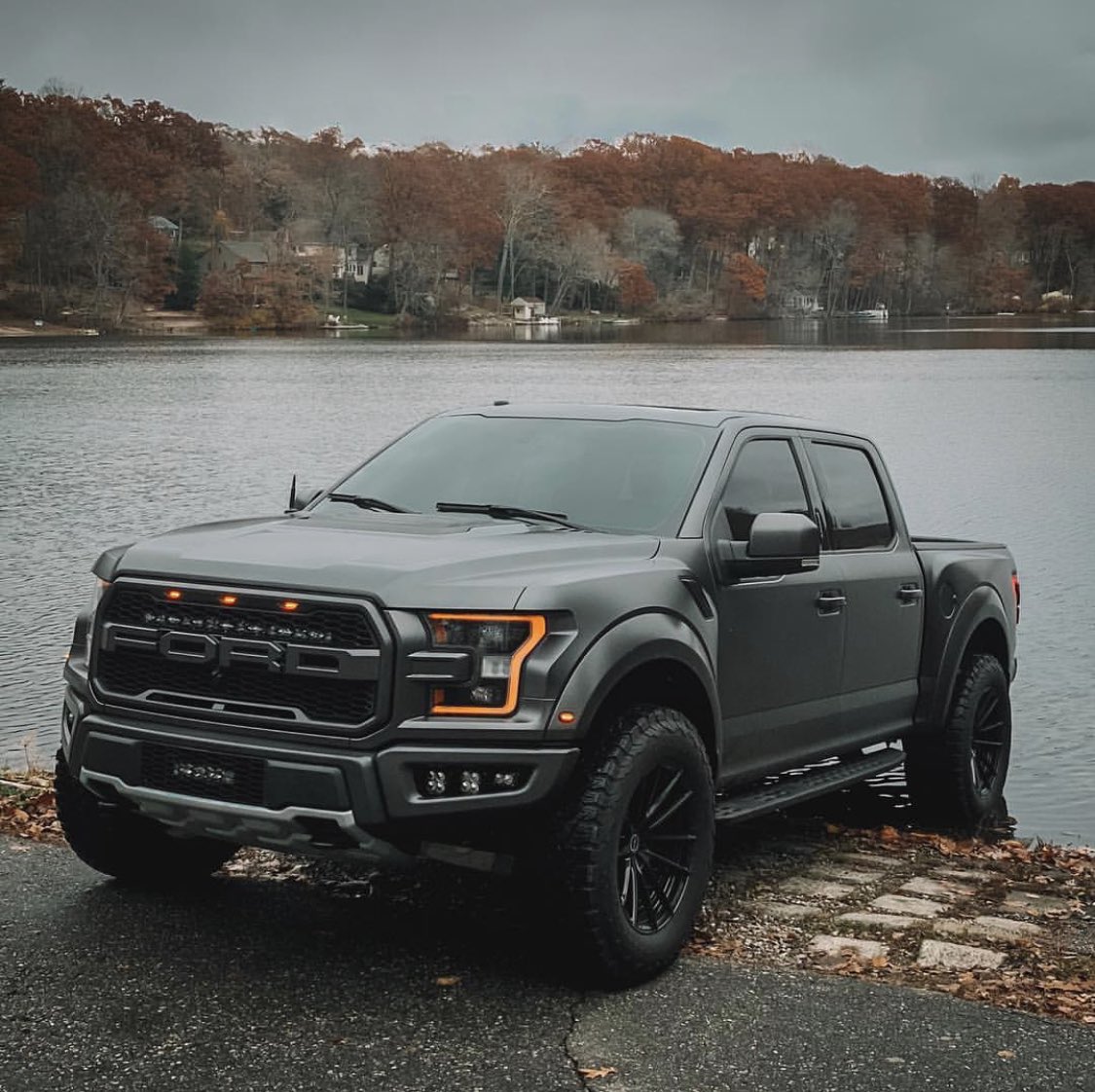 Lurking Raptor #ST