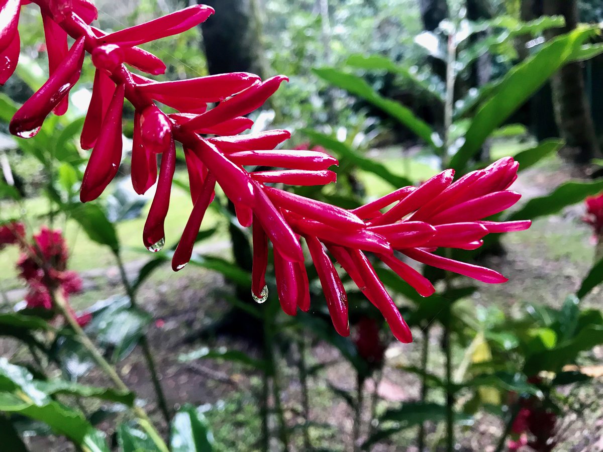 Dan Ashbach tweet media