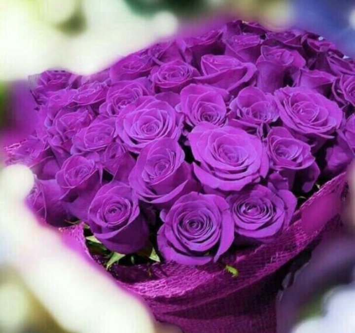 __7ja's tweet photo. الجَمال ليسَ شيئاً نراهُ ، بل هُوَ شَيء نَكتشفهُ  فَهو رُوح واخلاق وطِيبة قَبل أنْ يَكُون مَلامح !! ♡ 🎶 

#نبض_الهاشميه_للدعم 
#j https://t.co/Z74OqQrvXU