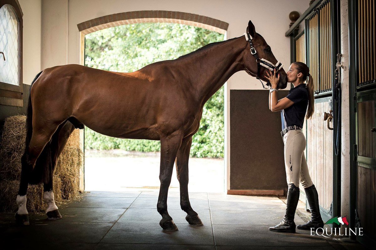 EQUILINEAmerica's tweet photo. Have you had your pre-circuit pep talk?

The Winter Equestrian Festival and Global Dressage Festival are officially back in session! 

Equiline would like to wish all competitors a successful—and stylish—winter season, wherever you may be competing! #thedresscode #lookingahead https://t.co/N6HkiDTMRu