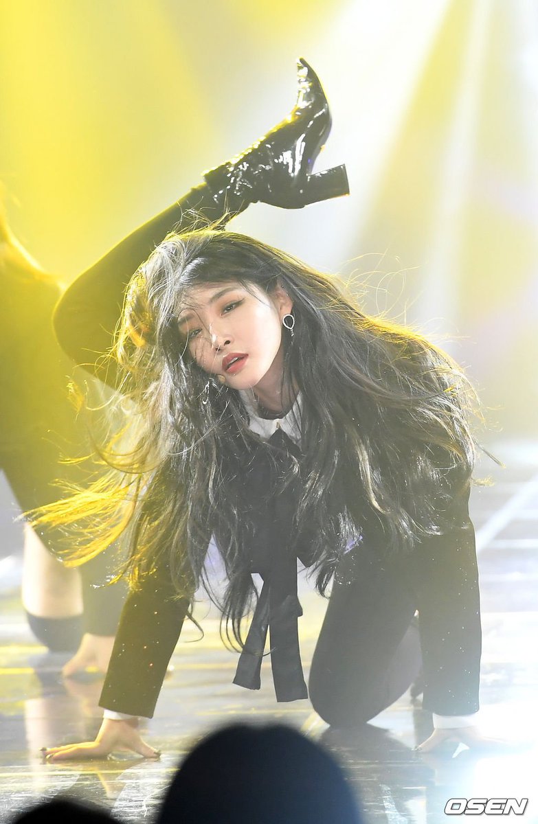 쳍 tweet media