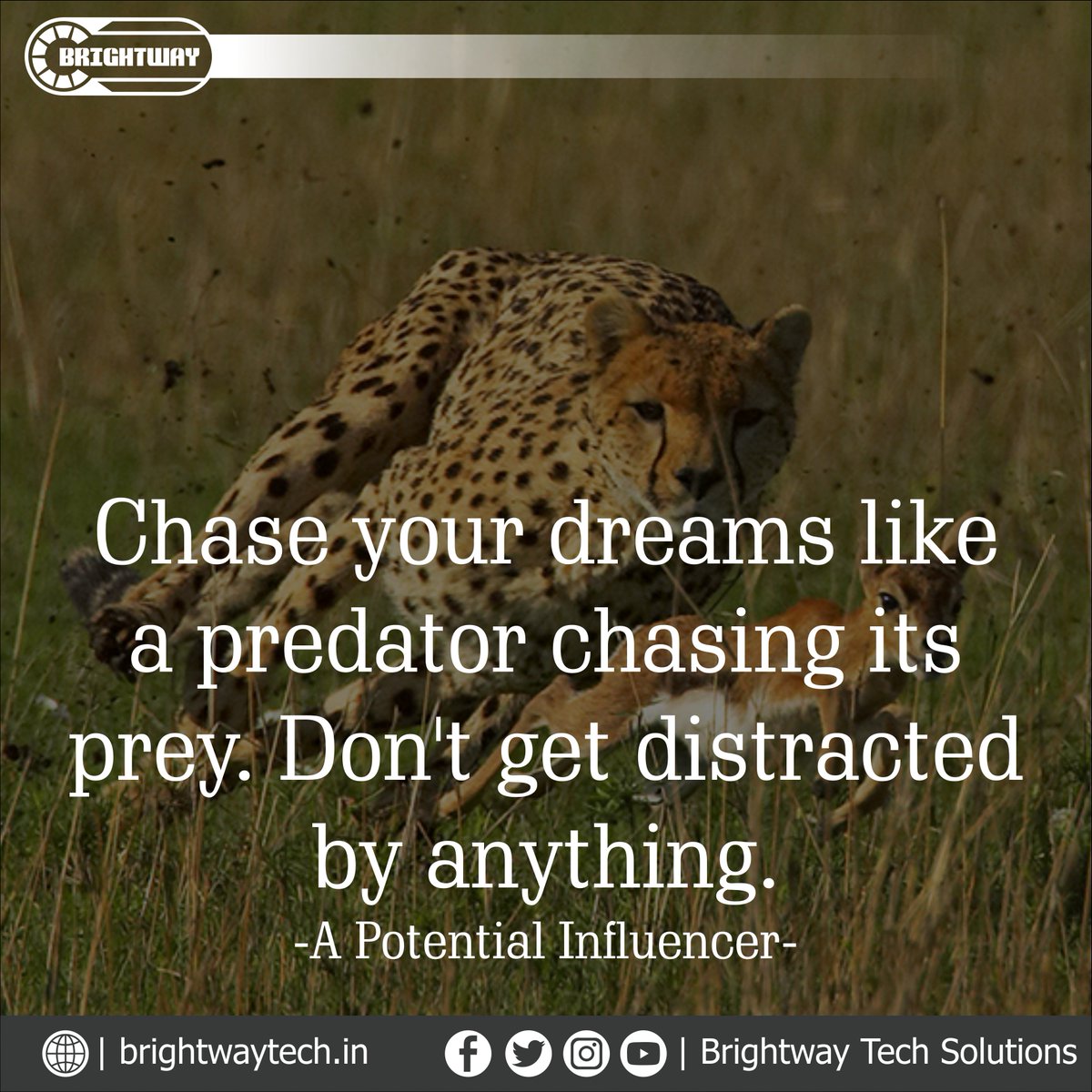 BritewayTech's tweet photo. Chase your dreams like a predator chasing its prey. Don’t get distracted by anything.
-A Potential Influencer
#ChaseUrDreams #ChaseYourDreams #Predator #prey #DontGetDistracted #AvoidDistraction #AvoidDiversion #dailyquotes #dailysaying https://t.co/qNywx2vfAy