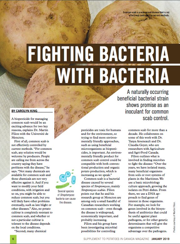 PotatoesCanada's tweet image. Our Crop Protection issue for 2019, sponsored by @Bayer is now out! Learn about new tools to battle #wireworm, promising research for #commonscab and if zebra chip should be on your radar, read it all here: ow.ly/wnFQ30nfoT4 #potatoes