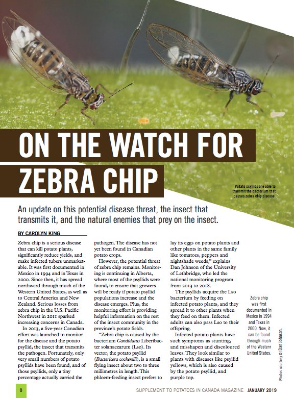 PotatoesCanada's tweet image. Our Crop Protection issue for 2019, sponsored by @Bayer is now out! Learn about new tools to battle #wireworm, promising research for #commonscab and if zebra chip should be on your radar, read it all here: ow.ly/wnFQ30nfoT4 #potatoes