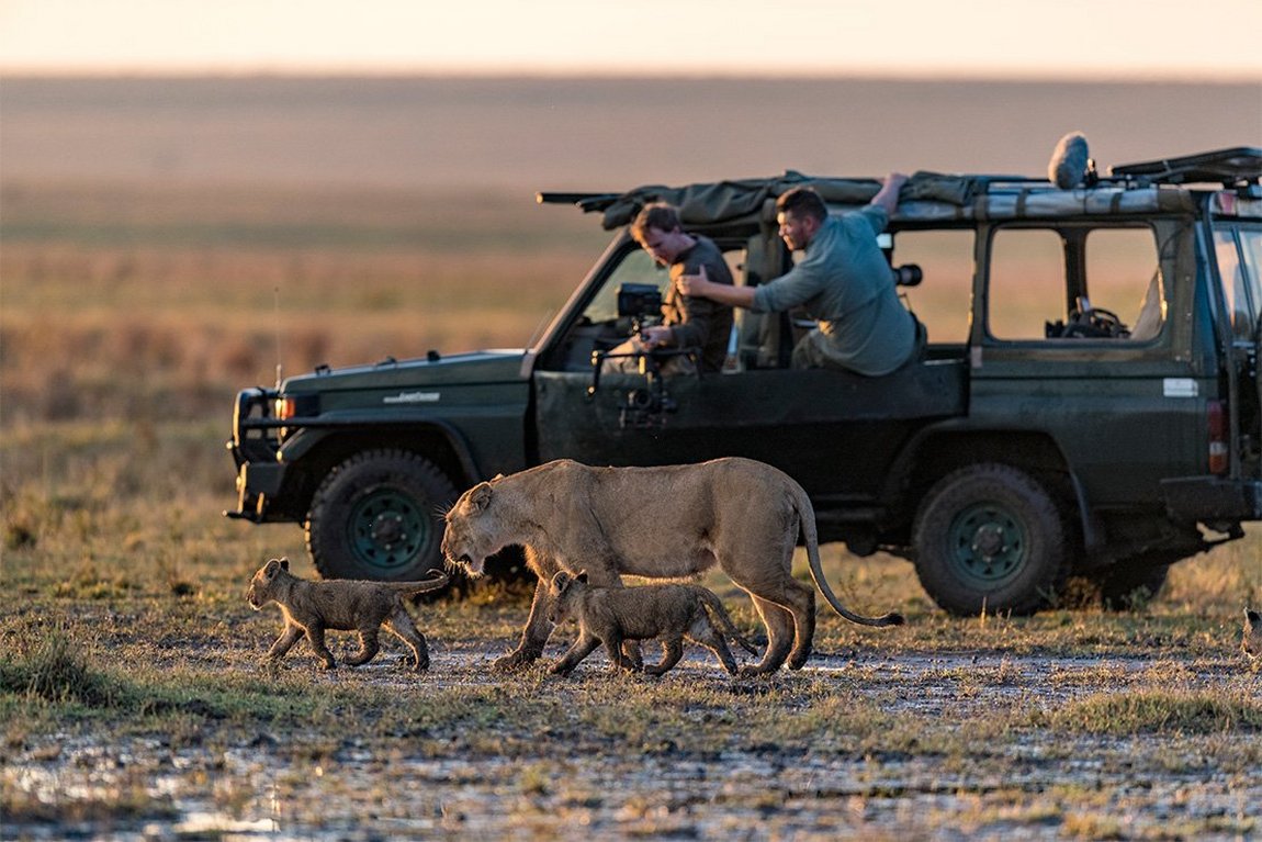 Canon Россия tweet media