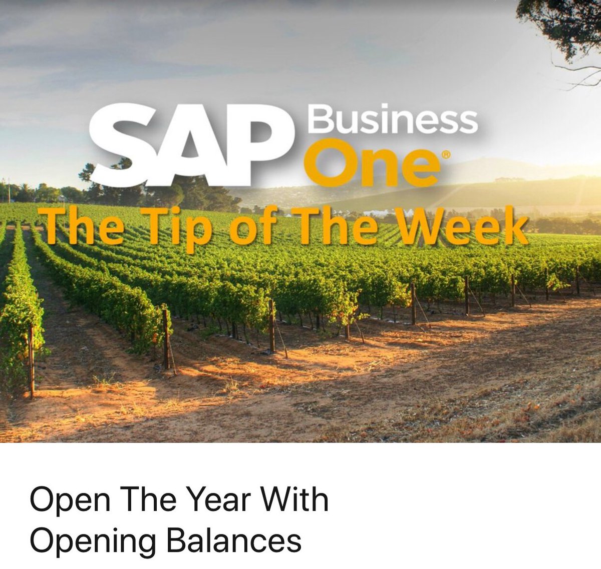anil_marali's tweet photo. Checkout how #SAPBusinessOne lets you record opening balances for G/L accounts and business partners using dedicated forms: 
https://t.co/MwYTbJYANn 

#TheBestRun #SAP #SAPHANA #SAPCloud @SAPSmallBiz #SMEs @SAPCloudERP @SAPMidsize https://t.co/1h8vutpGl7