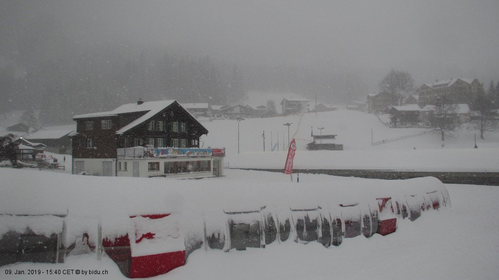#Wengen - There's about 20cm (7.5in) of fresh fallen snow 9in the village now and still snowing.