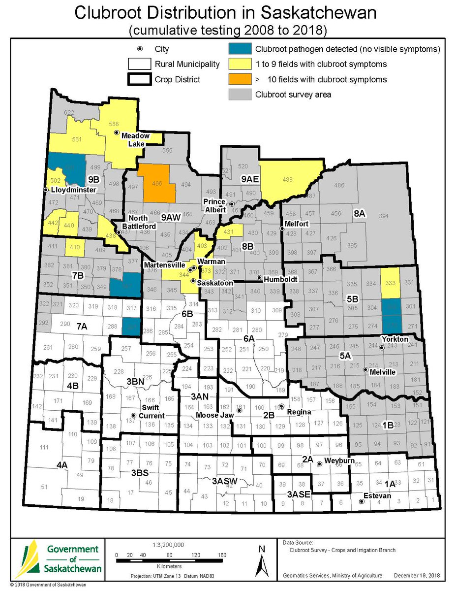 We’ve released a Clubroot Distribution Map to help industry understand &amp; prevent the spread of clubroot in Sask. #clubroot #SaskAg saskatchewan.ca/government/new…