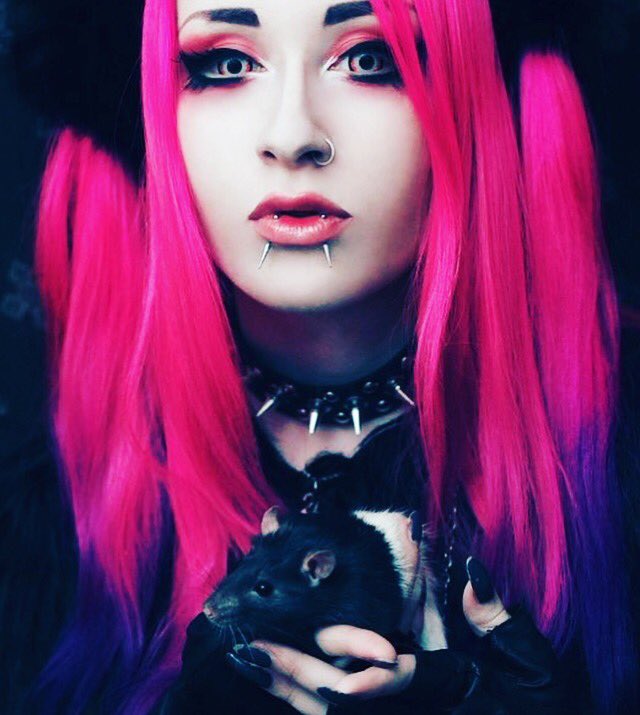 When #black with #pinkhair are the only colors which makes sense. #gothic #alternatefashion #gothgirl #GothicBeauties @blackrabbitgoth Blackrabbirstore.com #alternatefashion