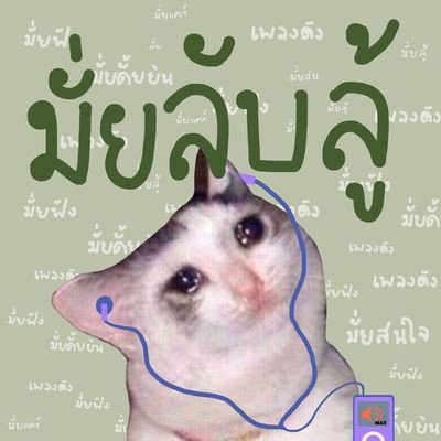 ดิ้ม tweet media
