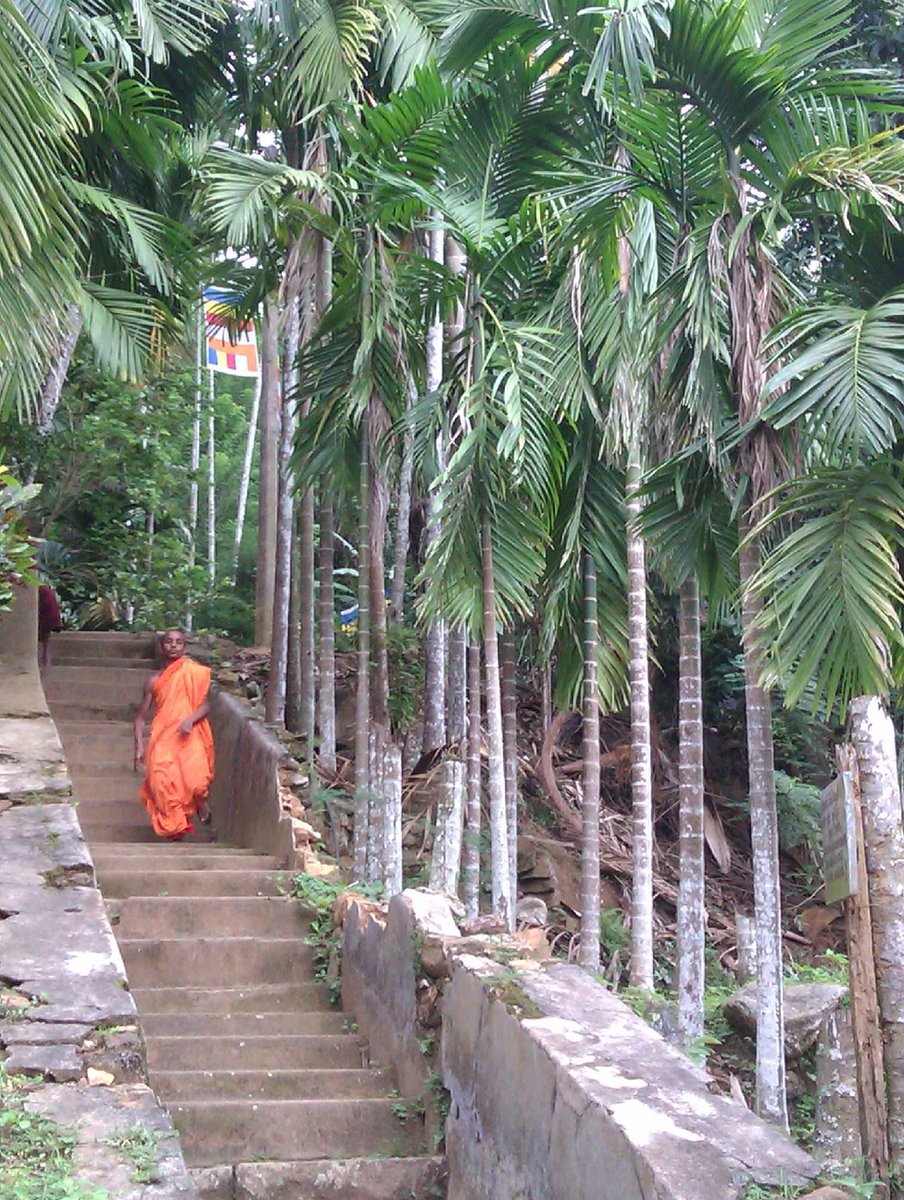 TThalpe's tweet photo. Year 2019 celebrates a decade of #peace here in #SriLanka. Be part of that peace, beauty & #serenity & #celebrate with us here at #tambavillasthalpe
#tropicallifestyle #invest #investments #galle #realestate #luxuryproperty #beautifuldestinations #freehold #coconuts #palmtrees https://t.co/sTsaXb53Jr
