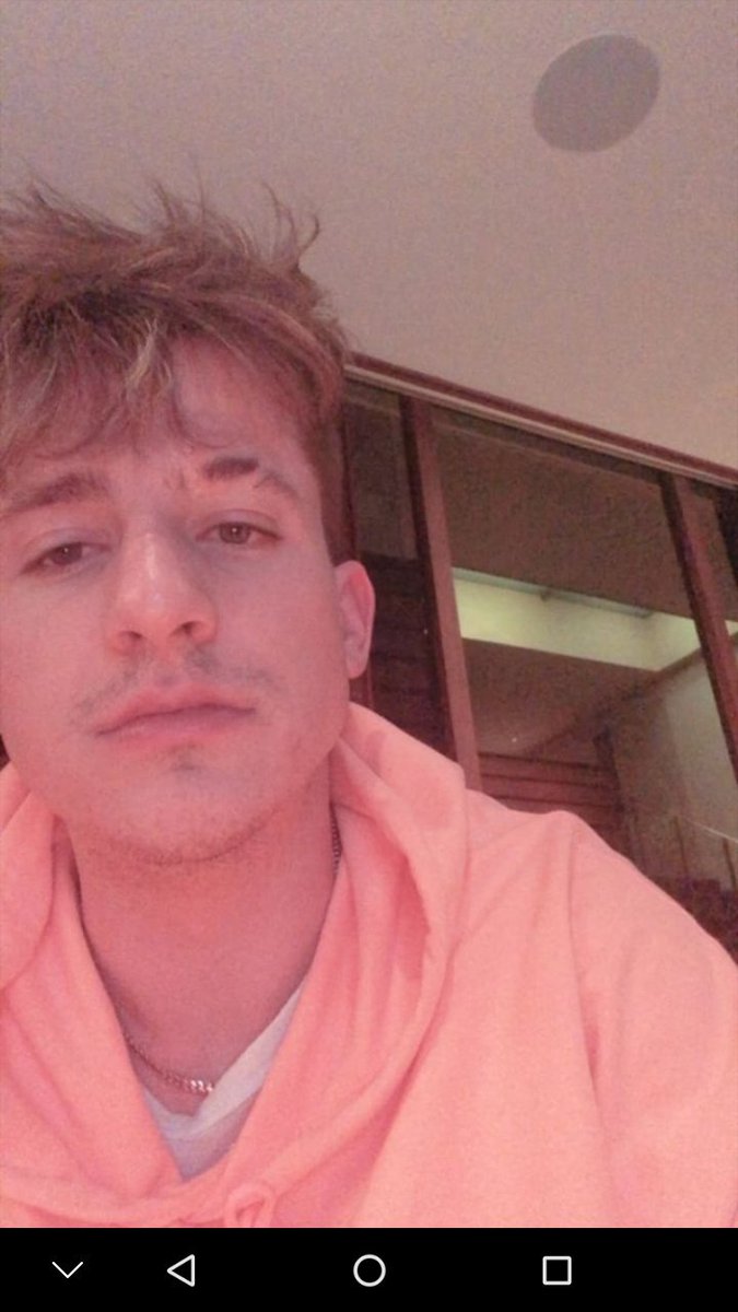 Crdenaskey1's tweet photo. Charlie😍😍 #CPF #charlieputh #goodday #atenttion #doneforme https://t.co/D95Mhk5P8i