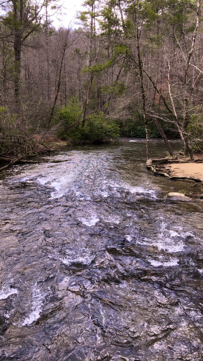 Omackerdoodle's tweet photo. God is so good.🙌🏼😍 https://t.co/kr5hwvRu77