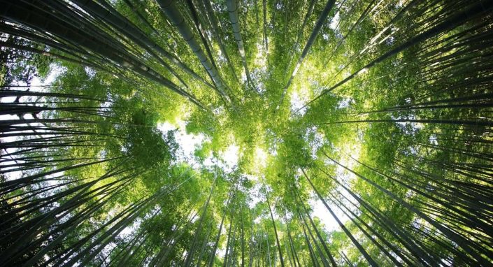 New research project at the <a href="/Cambridge_Uni/">Cambridge University</a> will develop better metrics for #social and #natural capital assets. 
bit.ly/2FkWI6I