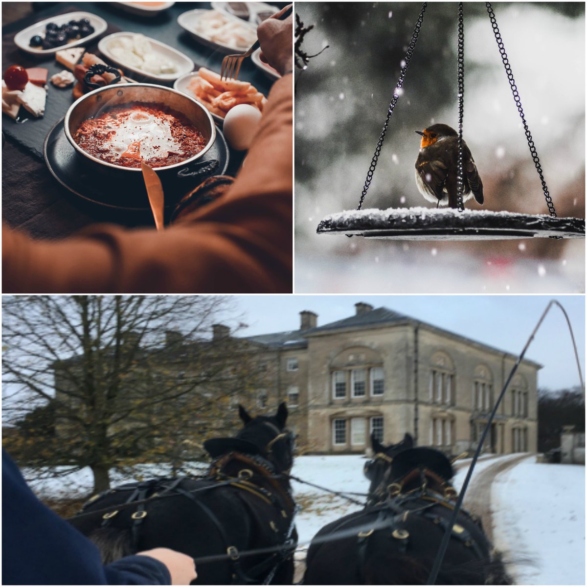 Looking for a winter break? You’ll love the Yorkshire Wolds

🐦 Spectacular wildlife <a href="/VisitYNT/">YorksNatureTourism</a>
🏰  Historic houses and gardens <a href="/SledmereHouse/">Sledmere House</a>
🍽  Foodie heaven <a href="/pipeandglass/">Pipe and Glass</a>
🎦  Events to keep you entertained.

Come and stay, book today! bit.ly/2BuLYzi