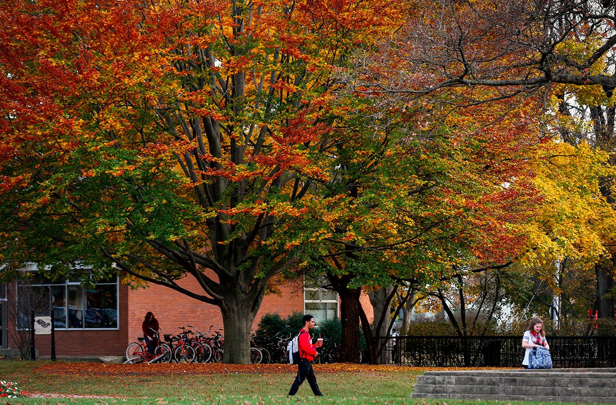 northcentralcol's tweet photo. Taking the next step in promoting #sustainability and the campus ecosystem, North Central College has received level 1 arboretum accreditation status through @ArbNetorg, the only global initiative to officially recognize arboreta. Learn more: https://t.co/9Eos3iMcna https://t.co/O8zBDpD1Rv