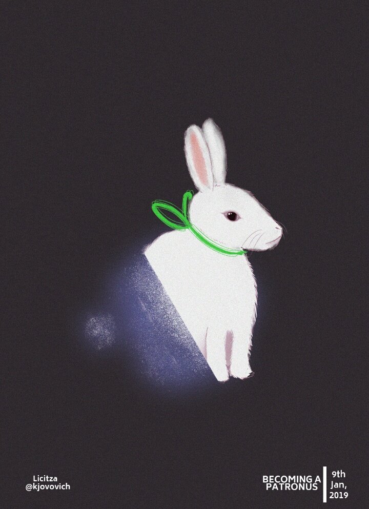 licitza's tweet photo. Luna's patronus :) #Portfolioday #illustration #GraphicDesigner #rabbit https://t.co/nRQvhfP1wg