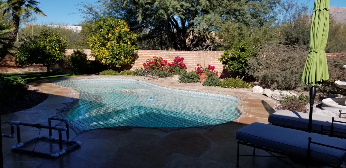 JohnABouchard1's tweet image. RT  RT  RT  Dreaming of warmer weather! #poolsafety #poolsafetynet #poolnet #poolnets #poolcover #poolcovers #poolfence…