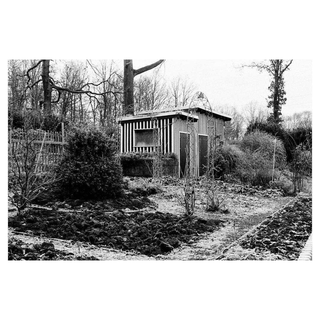 Bauerngarten Hashtag On Twitter