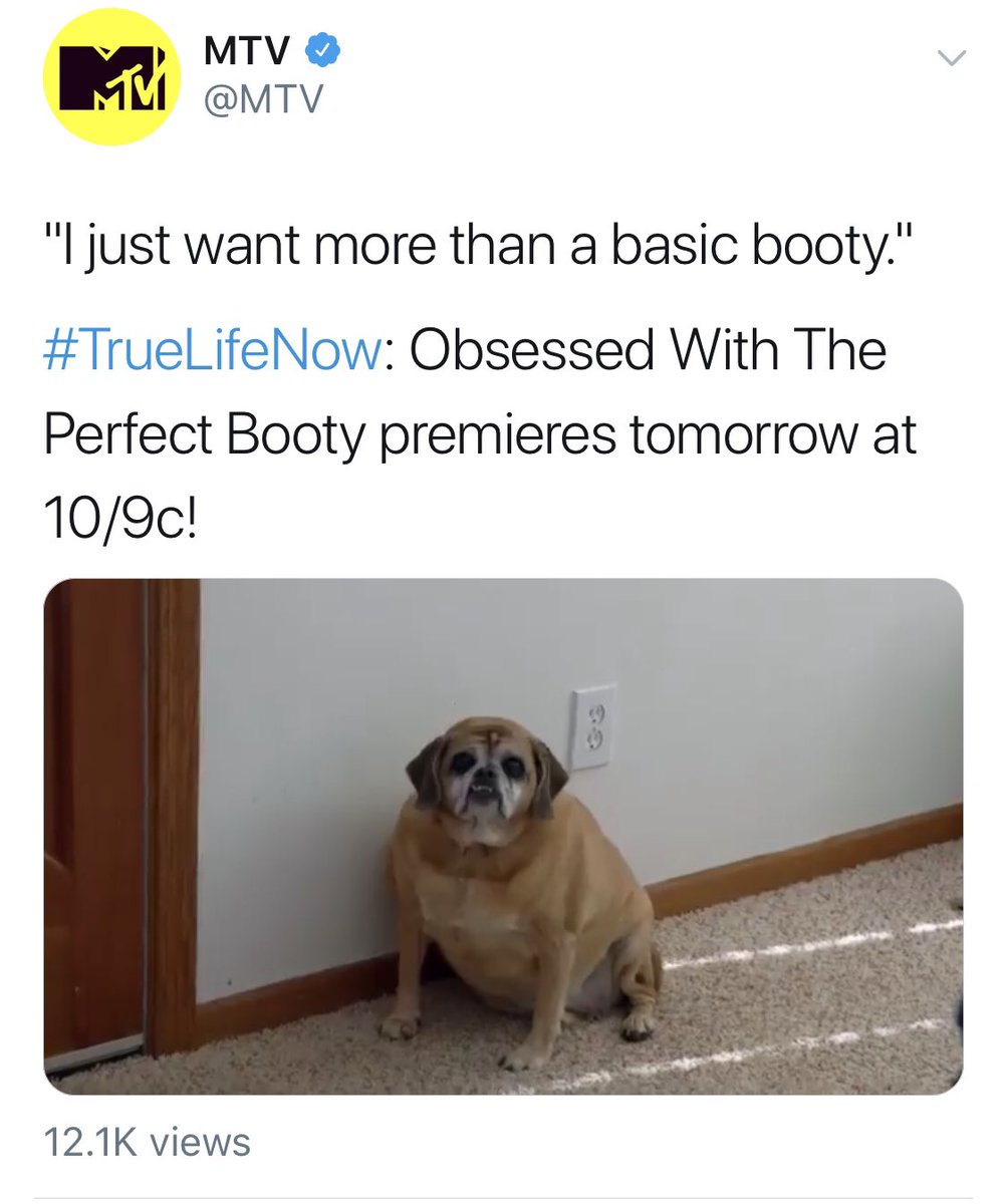 biancalauren33's tweet image. This made me laugh way too hard @MTV #TrueLifeNow 🐶