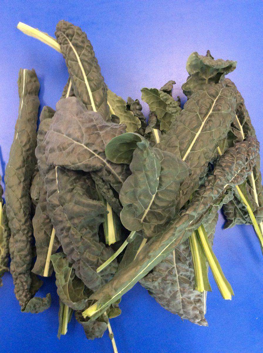 Sharon Stockmann tweet media