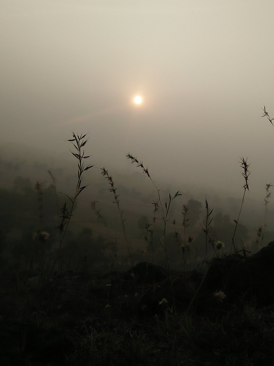 #amazing #pic #photo #photography #landscape #landscapephotography #Beautiful #mountains #mountainsunset #SmokeShowOfTheDay 
PAWAN📷 PHOTOGRAPHY