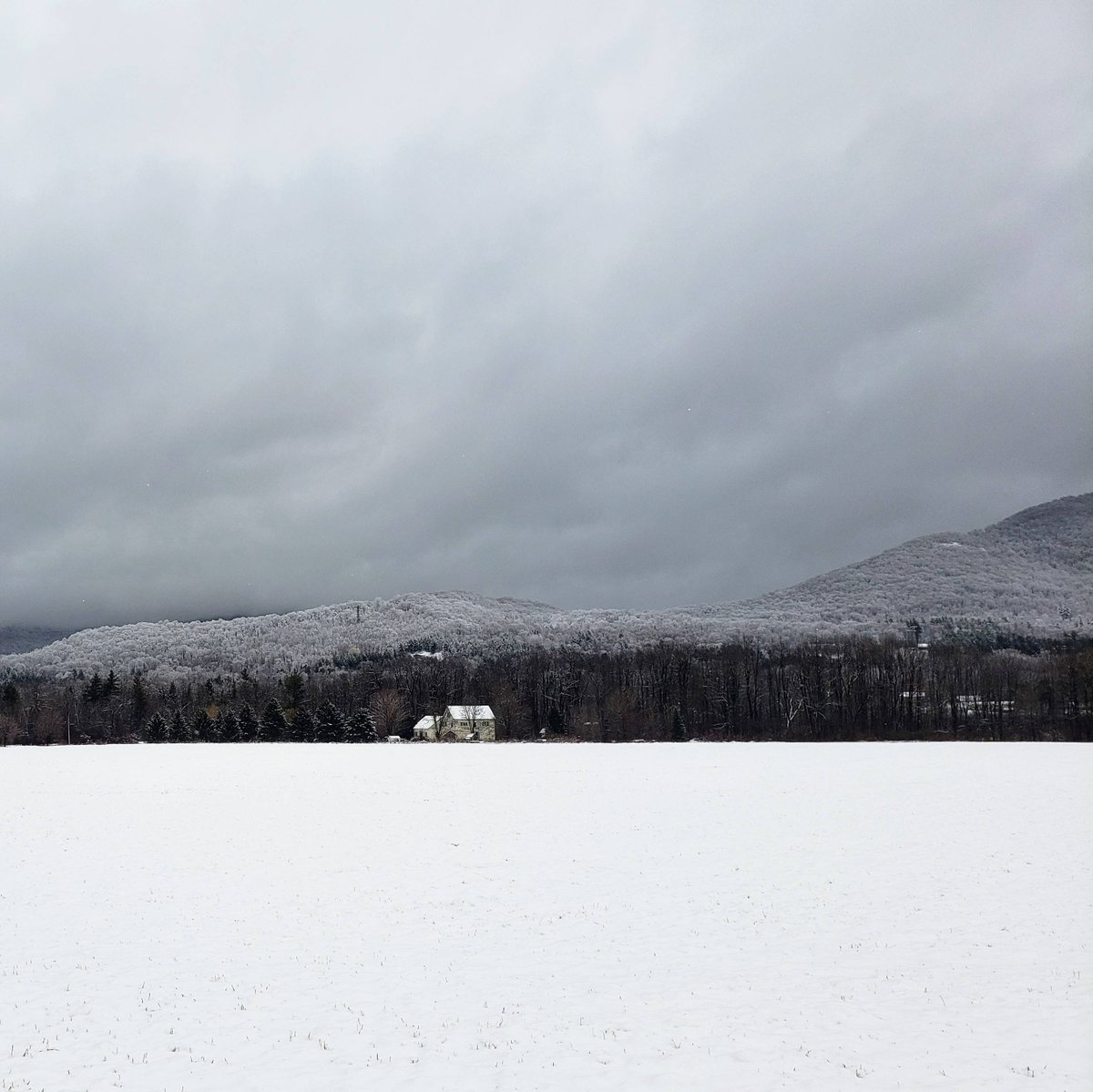 The Marble West Inn tweet media