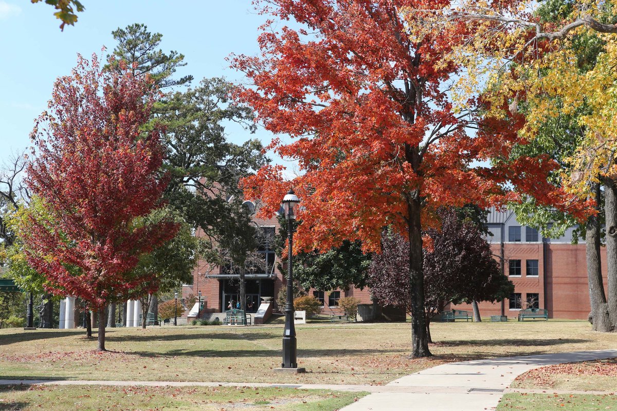 NSU was recently honored with 2017 Tree Campus USA® recognition by the Arbor Day Foundation for its commitment to effective urban forest management.

Read more at buff.ly/2TyqLvC.