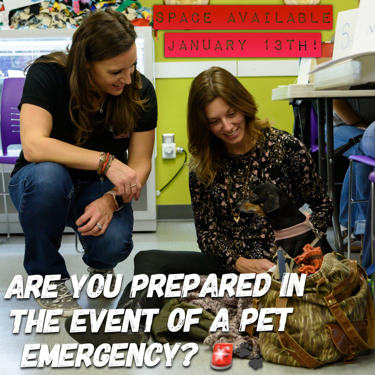 pawresponder's tweet photo. So great to see you @suedeyell and @Gord_Gillies! On @770CHQR this morning! Learn #mouthtosnout and MUCH more! @CalgaryHumane
- To Register - https://t.co/XKLjfTxOku
@pawresponder #petfirstaid #dogcpr #catcpr #petcare #walksnwagspetfirstaid @WNWPetFirstAid https://t.co/wTK7ZmGP32