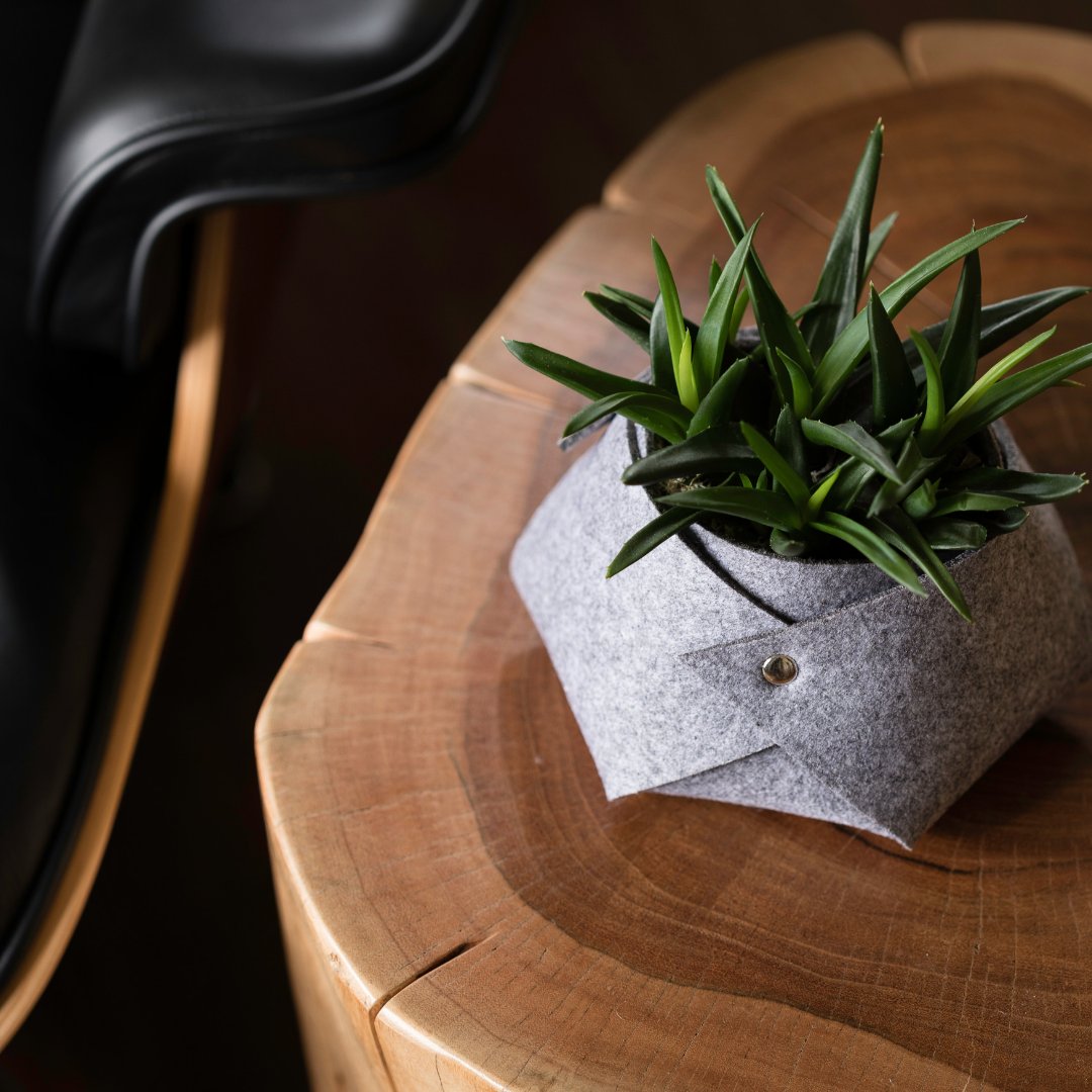 LiveTrends Design tweet media