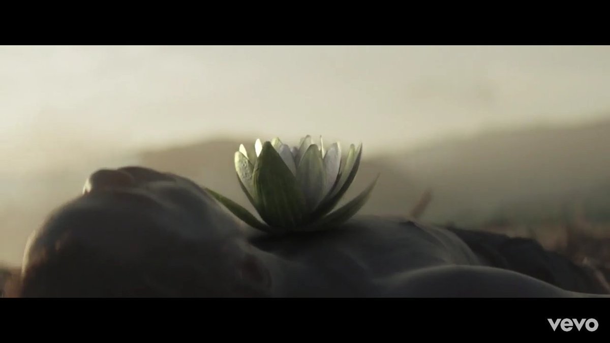 khaosats's tweet image. "Até que a flor deste amor floresça, este coração não estará em paz" eu to arrepiada #SatisfactionVideo