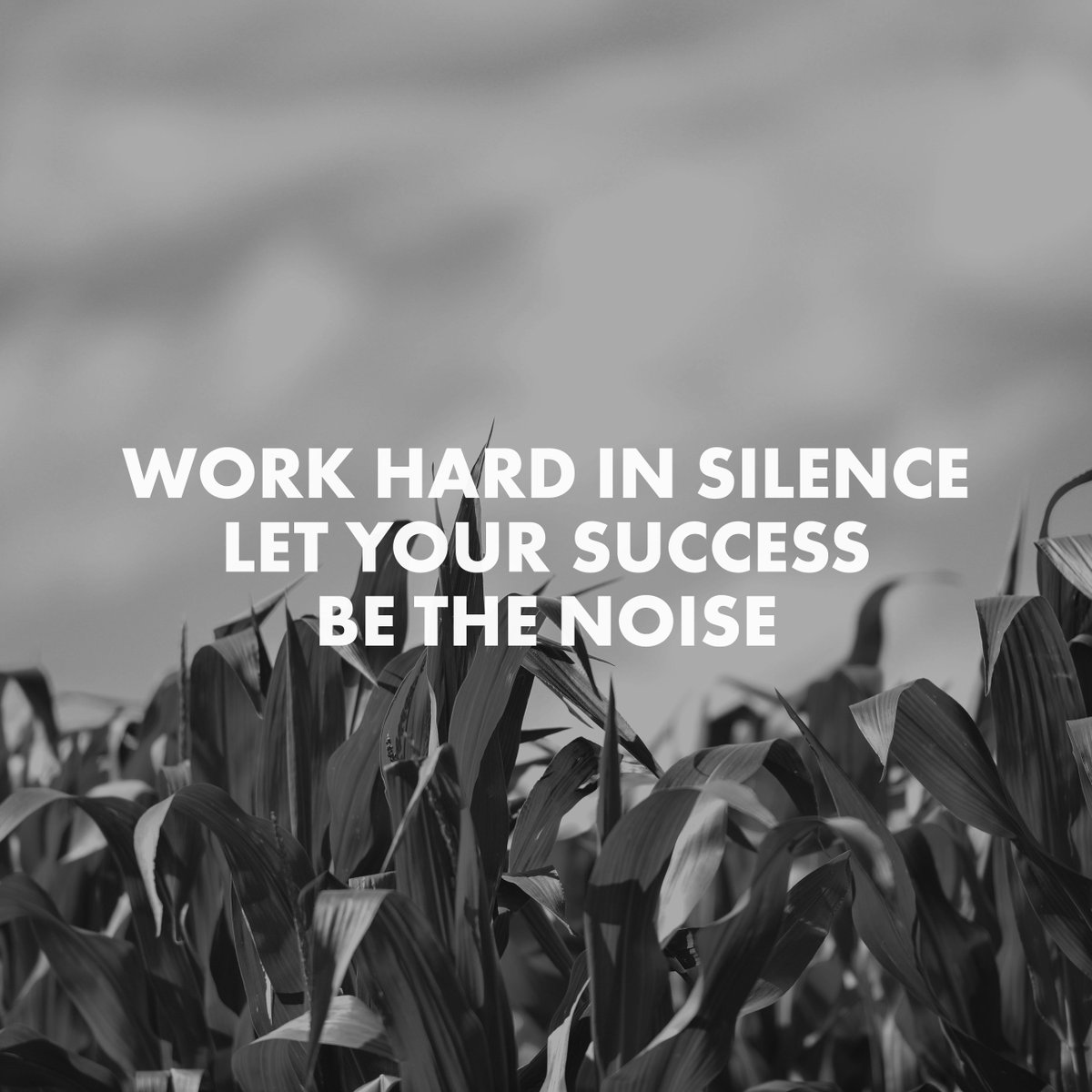 jbs_equipment's tweet photo. Actions speak louder than words.
#hardwork #workhard #agproducts #manurespreaders #jbs #jbscanada #jbondandsons https://t.co/Xf3fYQ5ygI