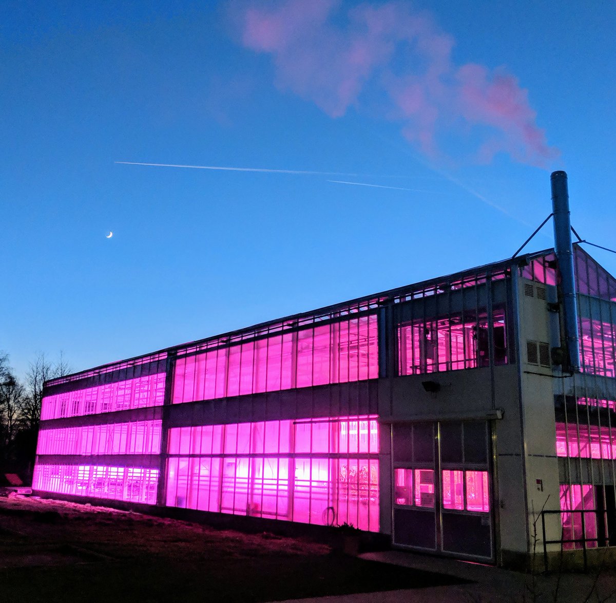 davehat79's tweet photo. @RHC_Hortic Glasshouse in all its winter evening glory 😎 https://t.co/ws7ieh3wxn