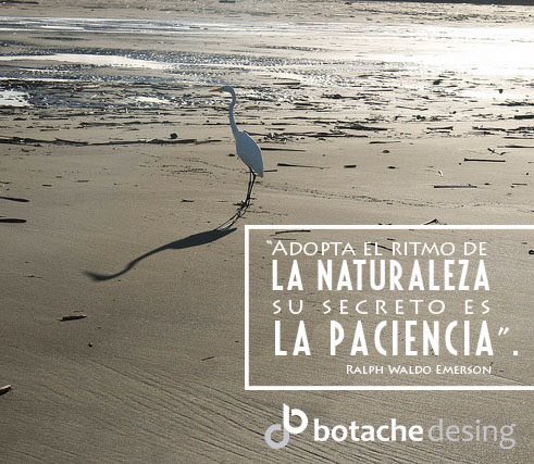 BotacheD's tweet photo. “Adopta el ritmo de la naturaleza: su secreto es la paciencia”. Ralph Waldo Emerson
¡Paciencia porque vamos por más!
#Fotografía #Photographer #Photography
#GraciasUniverso #GraciasDios #naturaleza #Diseño #Emprendiendo #VamosPorMás #BotacheDesing #DiseñoDigital #Emprendedores https://t.co/nUXfgulq34