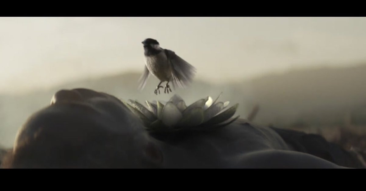 ZaynNewsBRA's tweet image. Apesar da ganância onde nada é o suficiente, o amor vence. youtu.be/r2zyYAClv1g 

#SATISFACTIONVIDEO