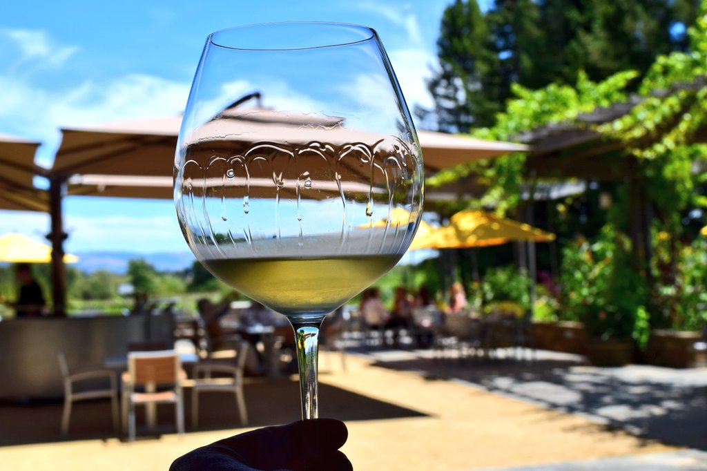 If #WINE isn't the answer...
then quite obviously...
You are asking the wrong question.
#winelover #travel #SipOnThisJuice