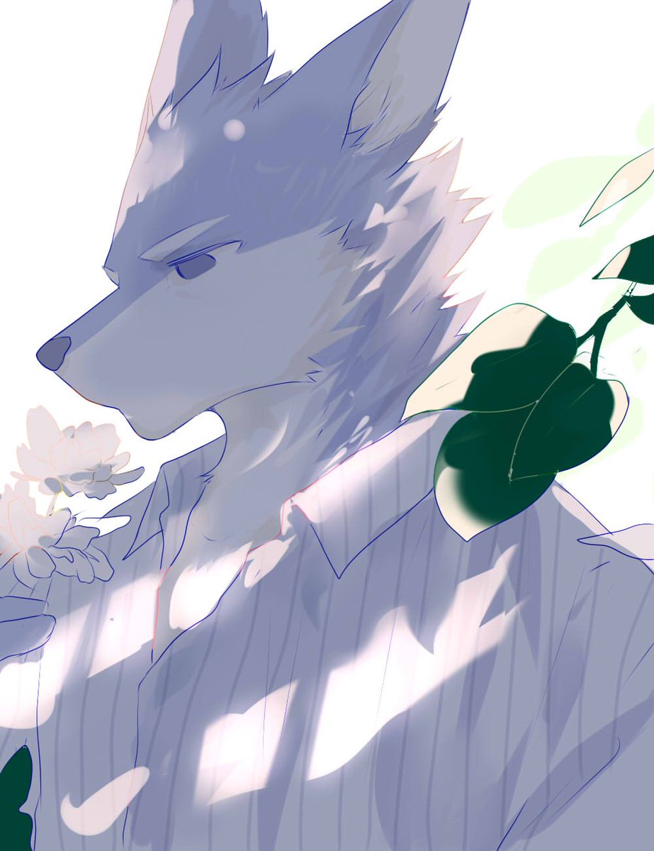 chung0_0's tweet photo. https://t.co/1FQLwwir77