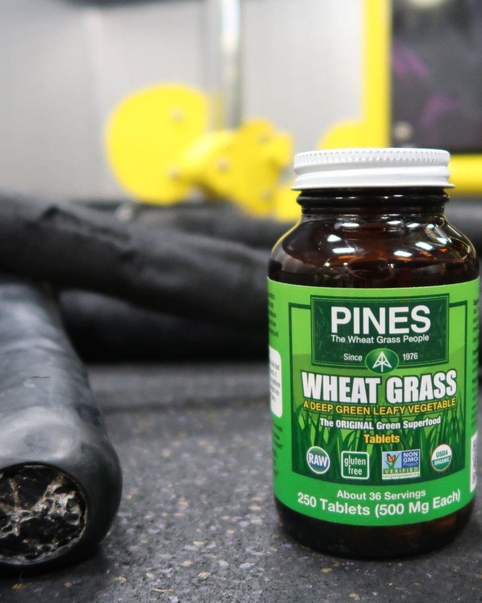 PinesWheatGrass photo