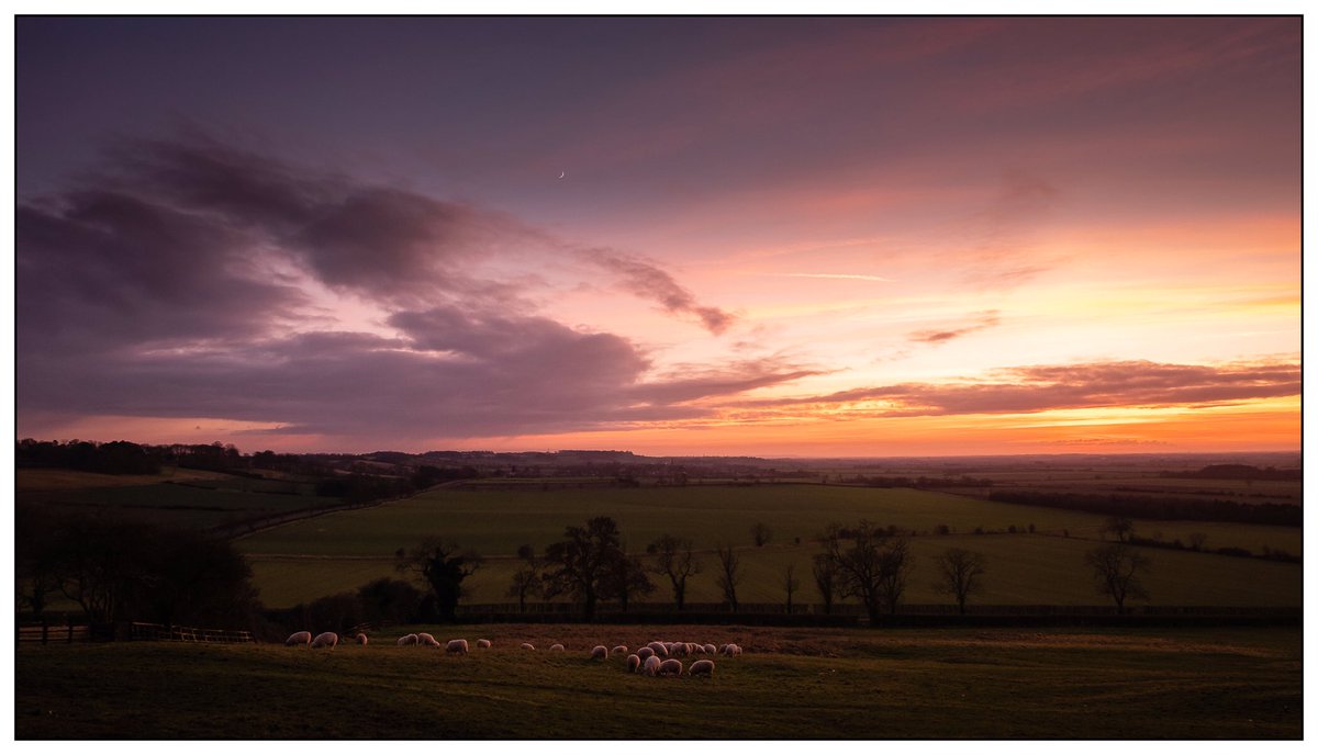 GraemeR1961's tweet photo. Evening. Last rays of sun lighting up the skies over Lincolnshire this evening #sunsetbritain #evening #lincolnshire #countryside #rural #outdoorphotography #weatherphotography #clouds @LincsSkies @explincolnshire @Visit_Lincs @looknorthBBC https://t.co/KExDJ6MqU3 https://t.co/z8xXDpL4hP