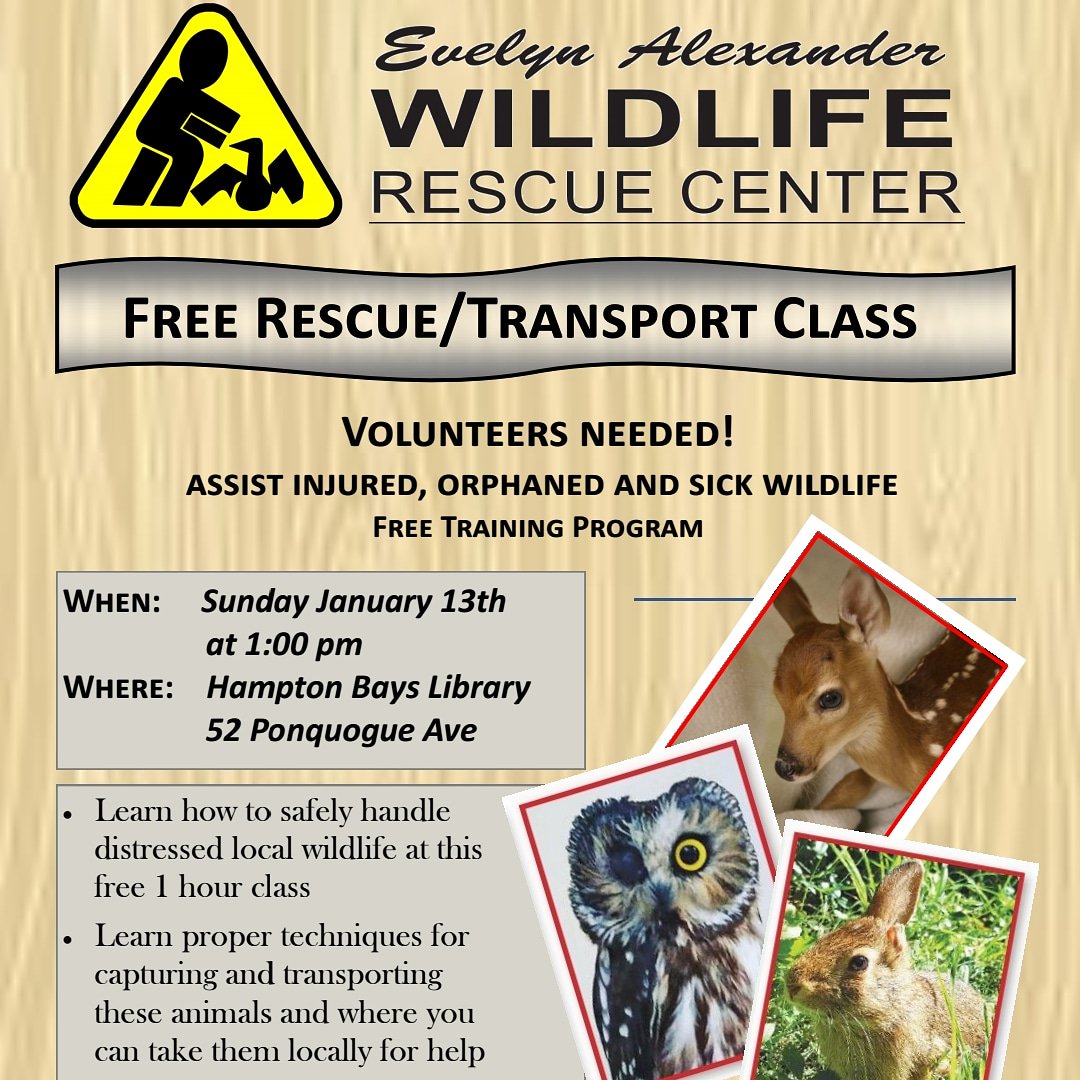 Please call 631.728.WILD to register #wildlifewarrior #wildliferehabilitation #wildlifehospital
#naturelovers